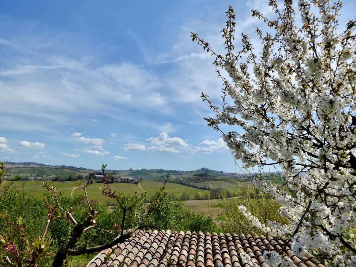 Agriturismo Bottega Di Rosanna Кастаньоле-Ланце Экстерьер фото